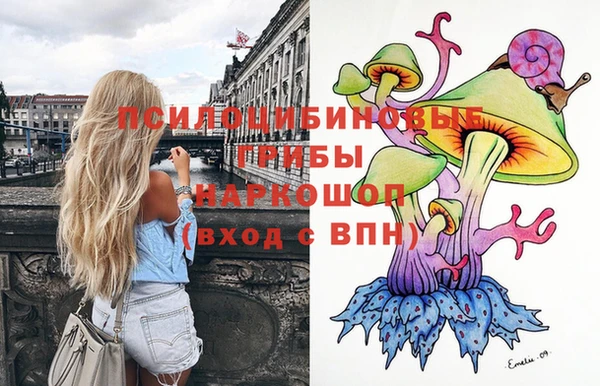 дмт Богородицк